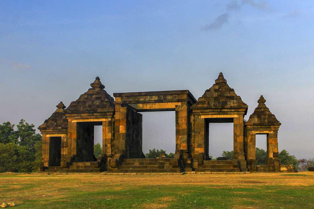 Placeholder Image